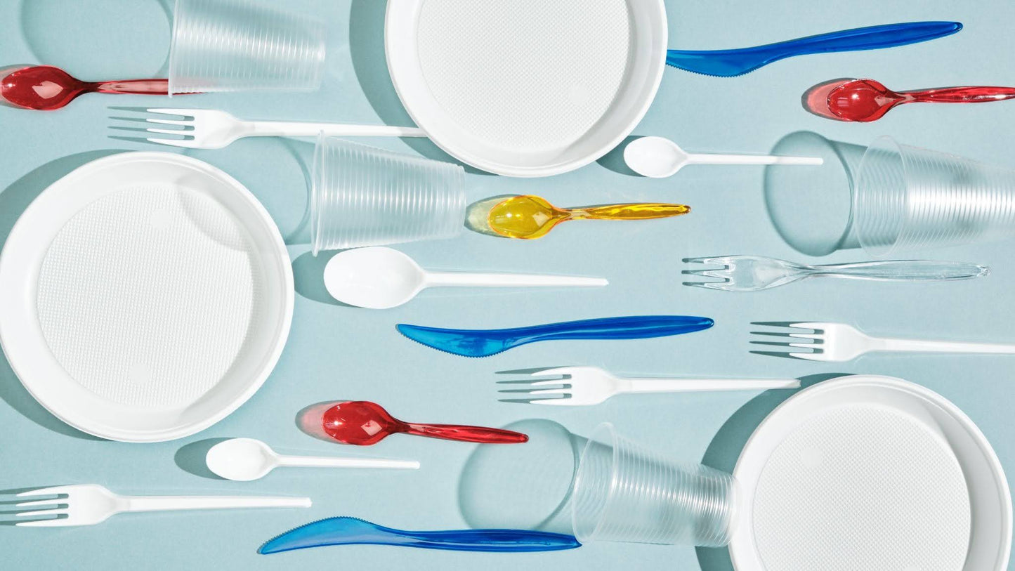 What Does BPA-Free Mean? A Simple Guide for Families